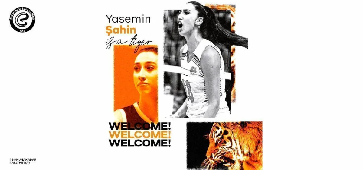 Yasemin Şahin, Eczacıbaşı Dynavit’te
