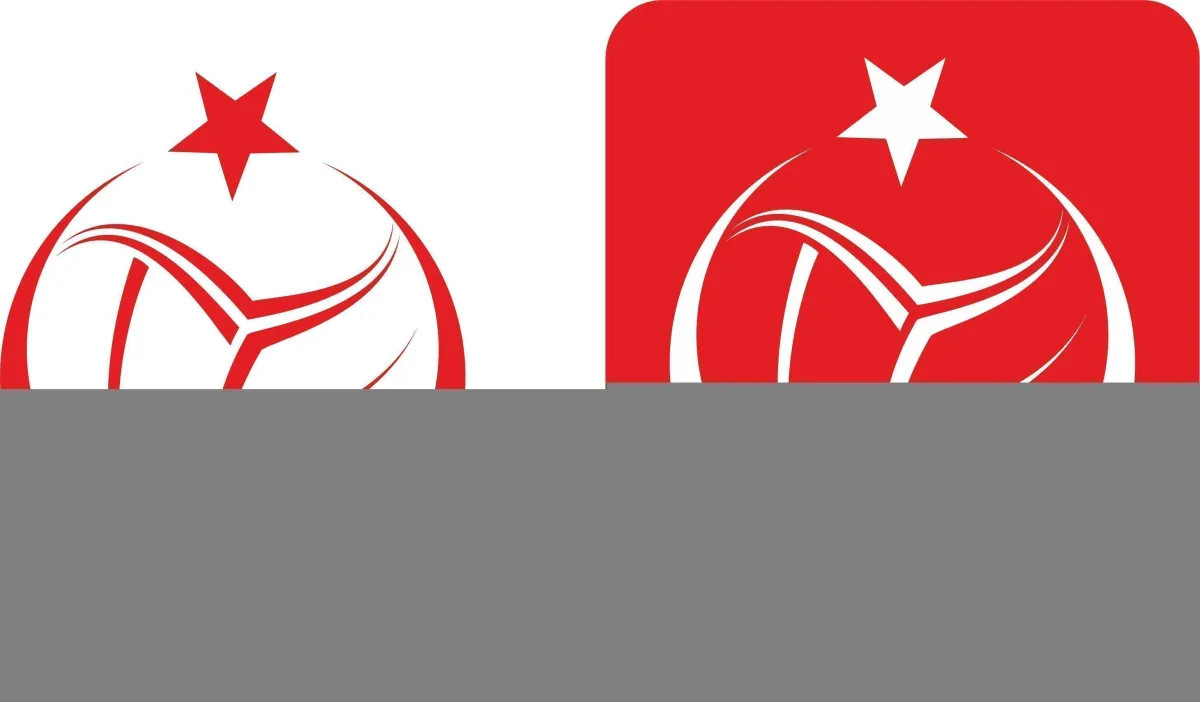 Erkek Milli Takımların 2017 Faaliyet Programları Belirlendi